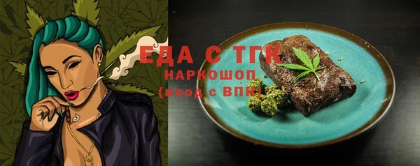 индика Богданович