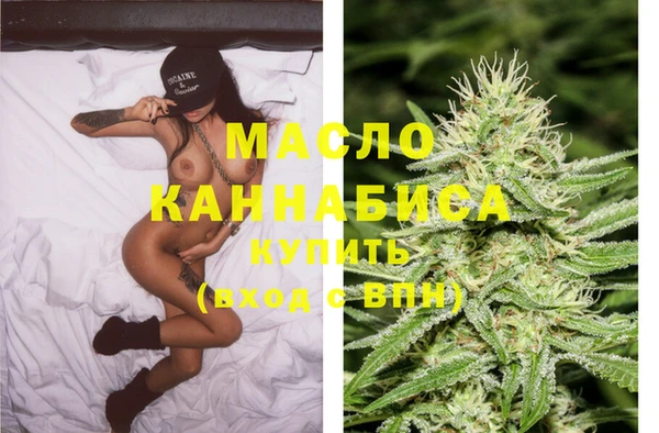 индика Богданович