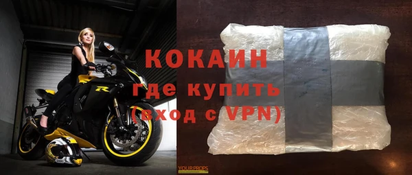индика Богданович