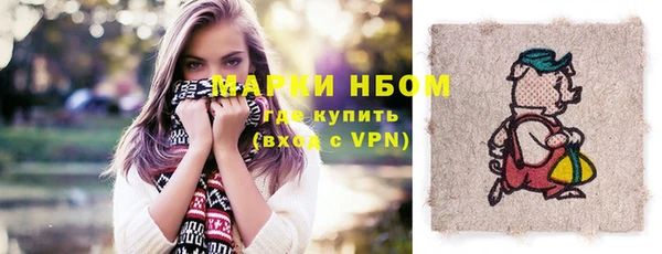 индика Богданович