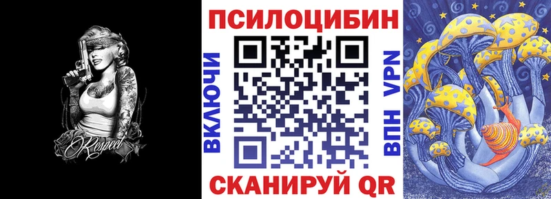 Псилоцибиновые грибы Cubensis Горнозаводск
