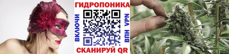 Каннабис OG Kush Горнозаводск